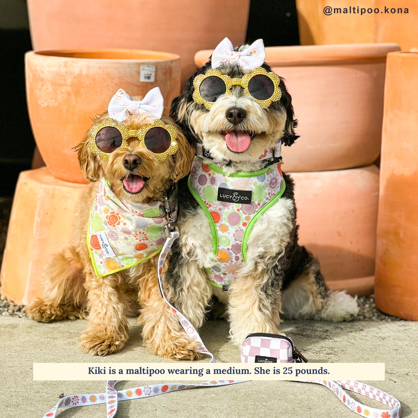 The Checked Out Reversible Harness