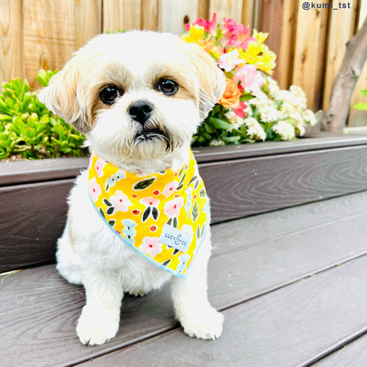 The Little Lamb Bandana