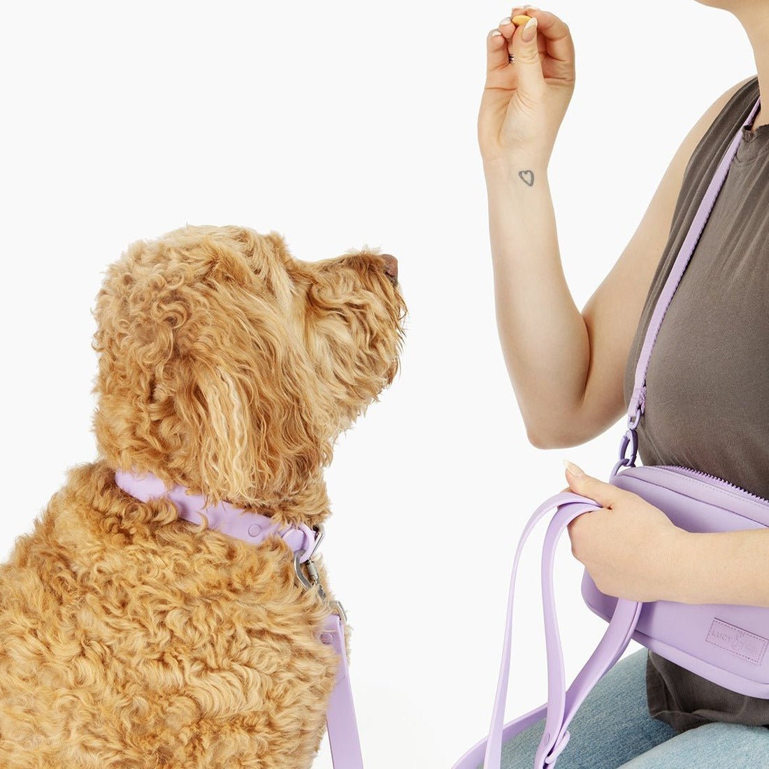 Lilac Crossbody Treat Bag