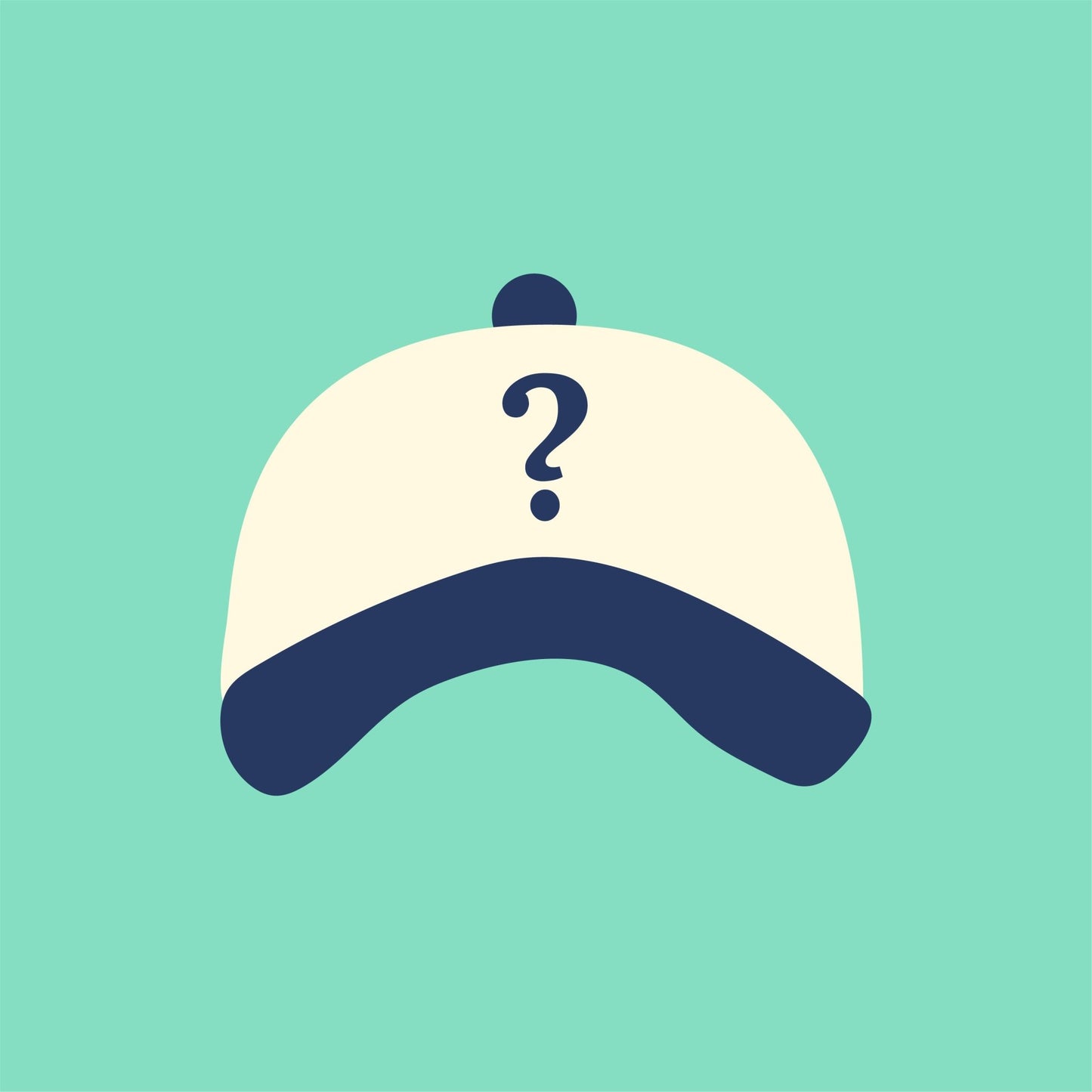 Mystery Hat (Final Sale)