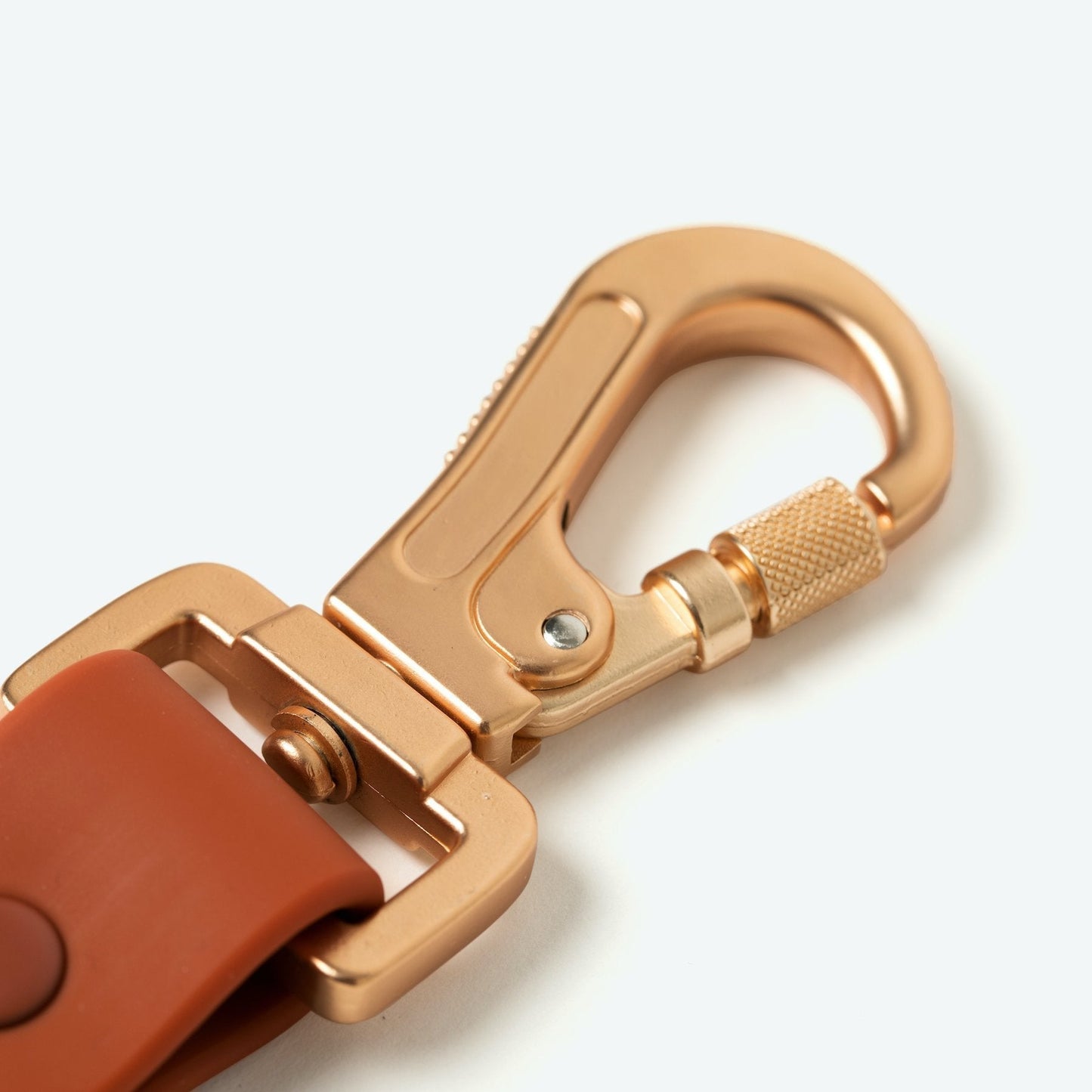 Water-proof, easy to clean, PVC/biothane dog leash by Lucy & Co.