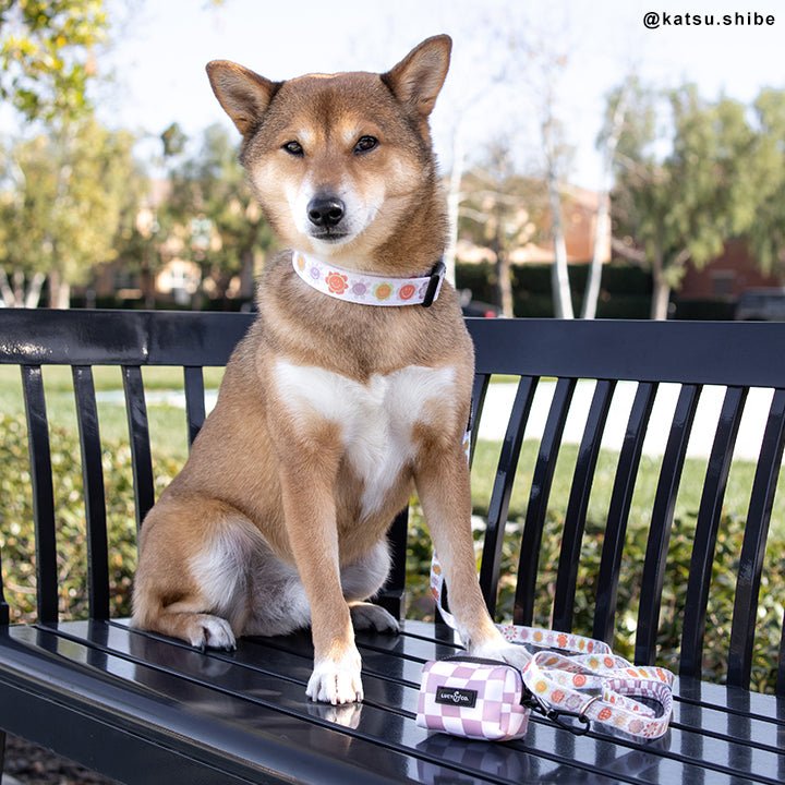 The Checked Out Leash