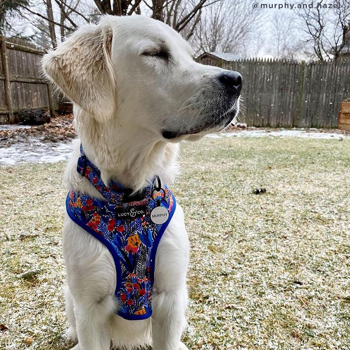 The Royal Garden Collar