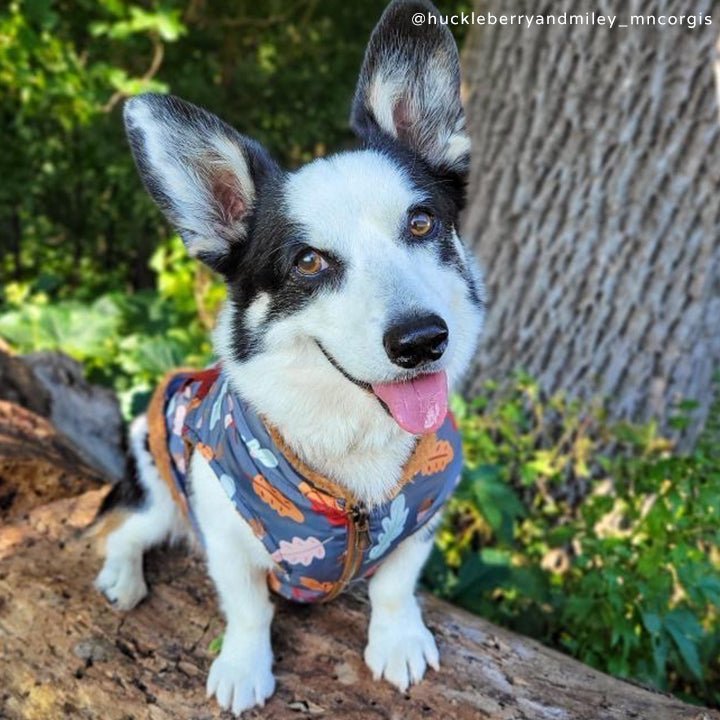 The Unbeleafable Reversible Teddy Vest