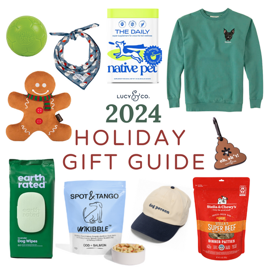 2024 Holiday Gift Guide for Dog Parents