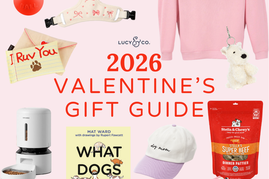 Be Mine, Valentine: The Ultimate Gift Guide for Stylish Pets (and Their Humans) 💌🐾