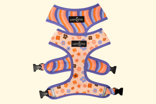 What’s the Deal with Neoprene?