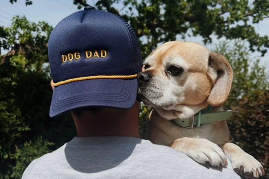 Happy Love Your Pet Day! 🐾