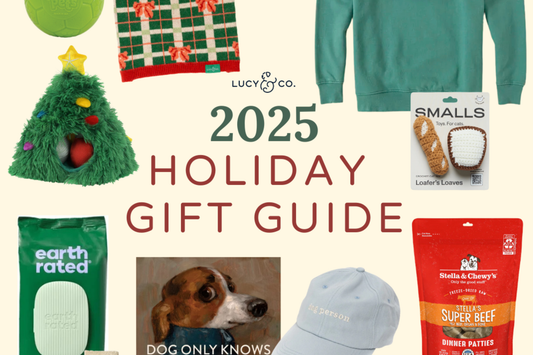 Holiday Gift Ideas for Pets and Pet Parents