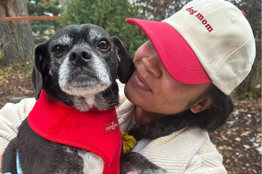 Our Favorite Ways to Celebrate National Dog Mom’s Day – May 10, 2025