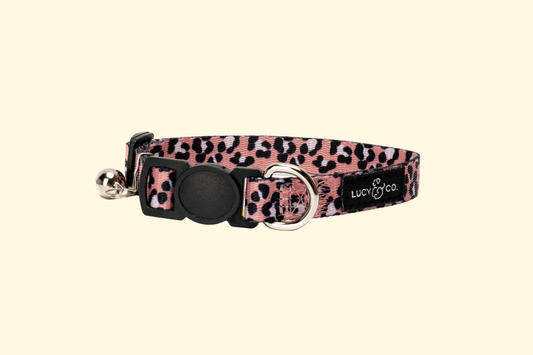 Why Do Cat Collars Have Bells on Them? 🛎️🐱