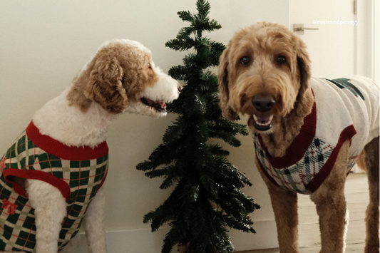 Why It’s Okay to Feel (and Embrace) the Cold Weather Slump