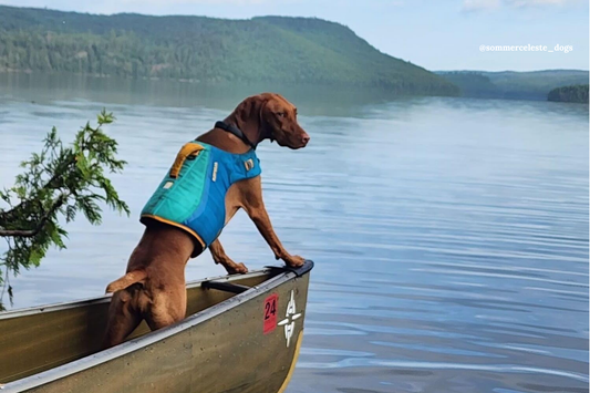 Leave It Better: Supporting the Boundary Waters Wilderness