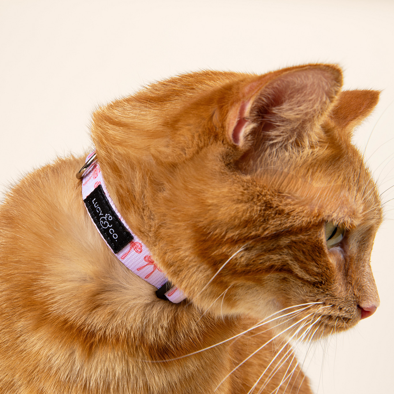 Breakaway Cat Collars