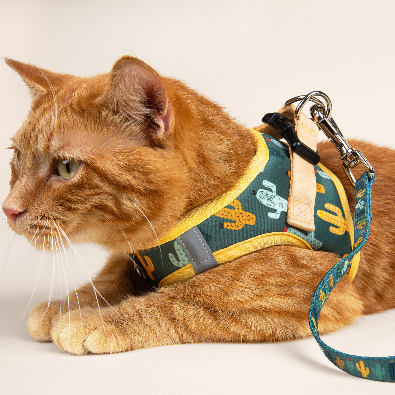 Cat Leashes