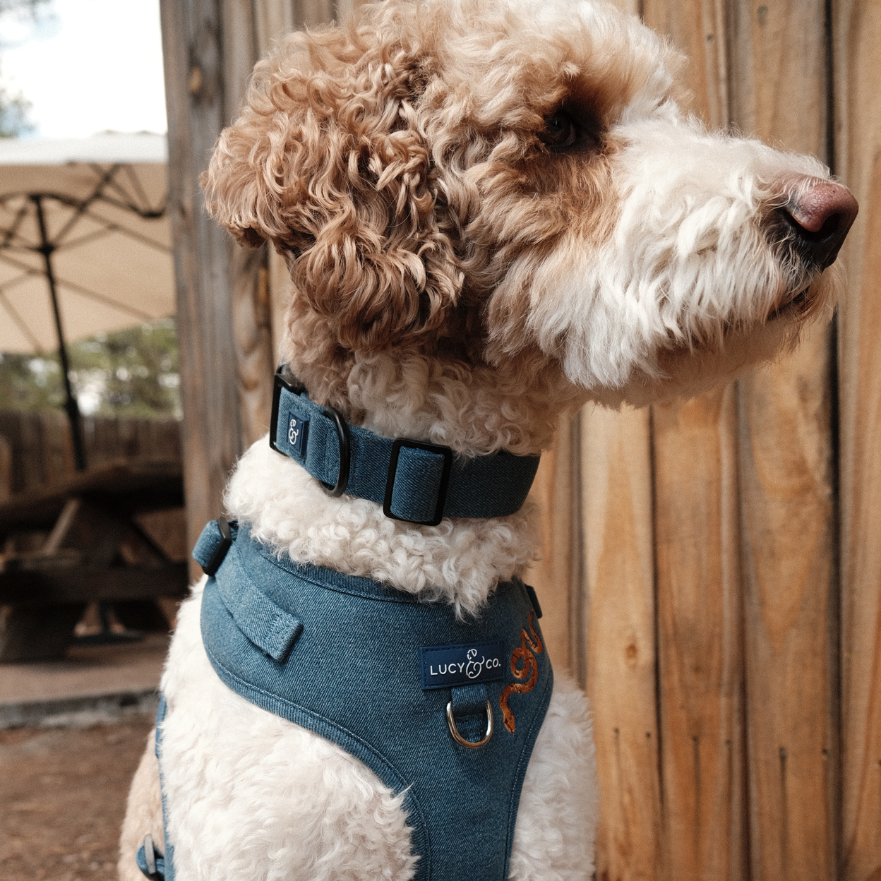 Collars