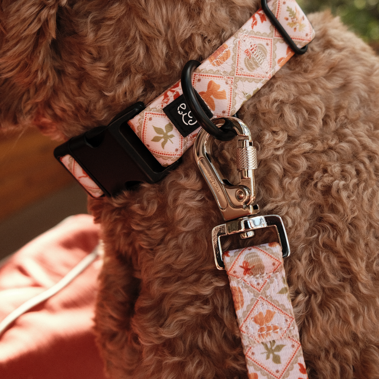 Leashes