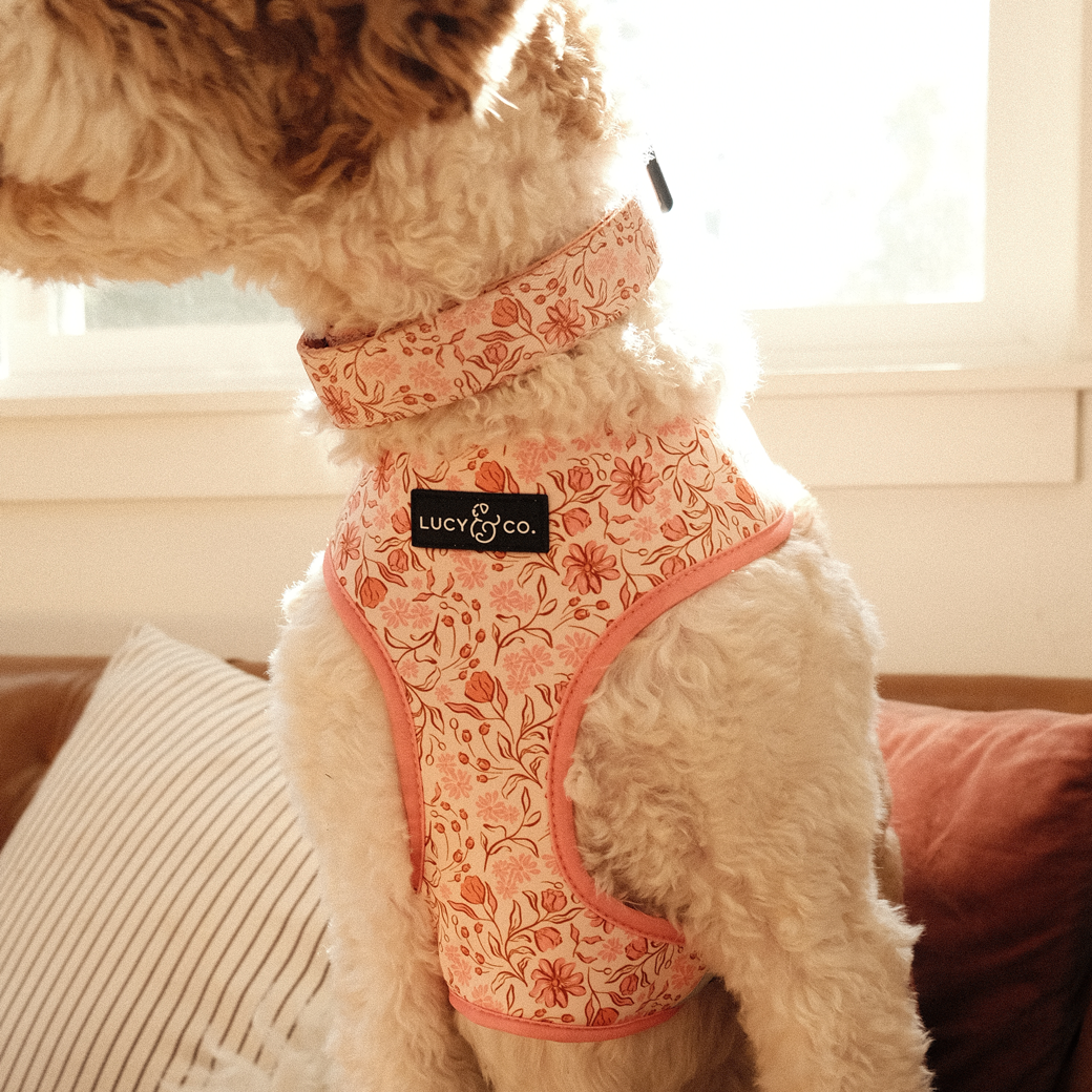 All Harnesses