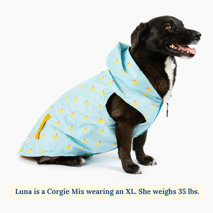 Dog Rain Jacket The Lucky Ducky Reversible Raincoat Lucy Co