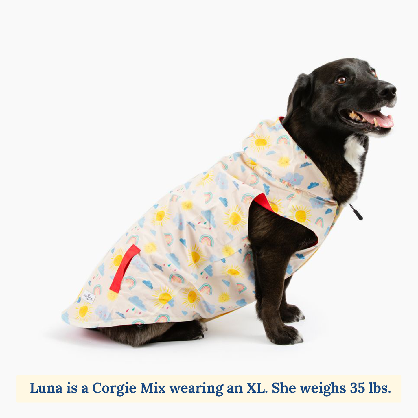 Rain or Shine Reversible Raincoat