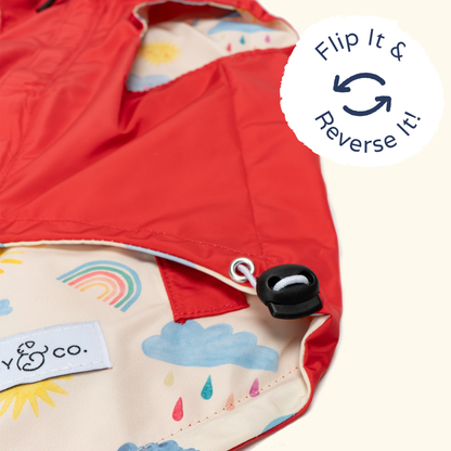 Rain or Shine Reversible Raincoat