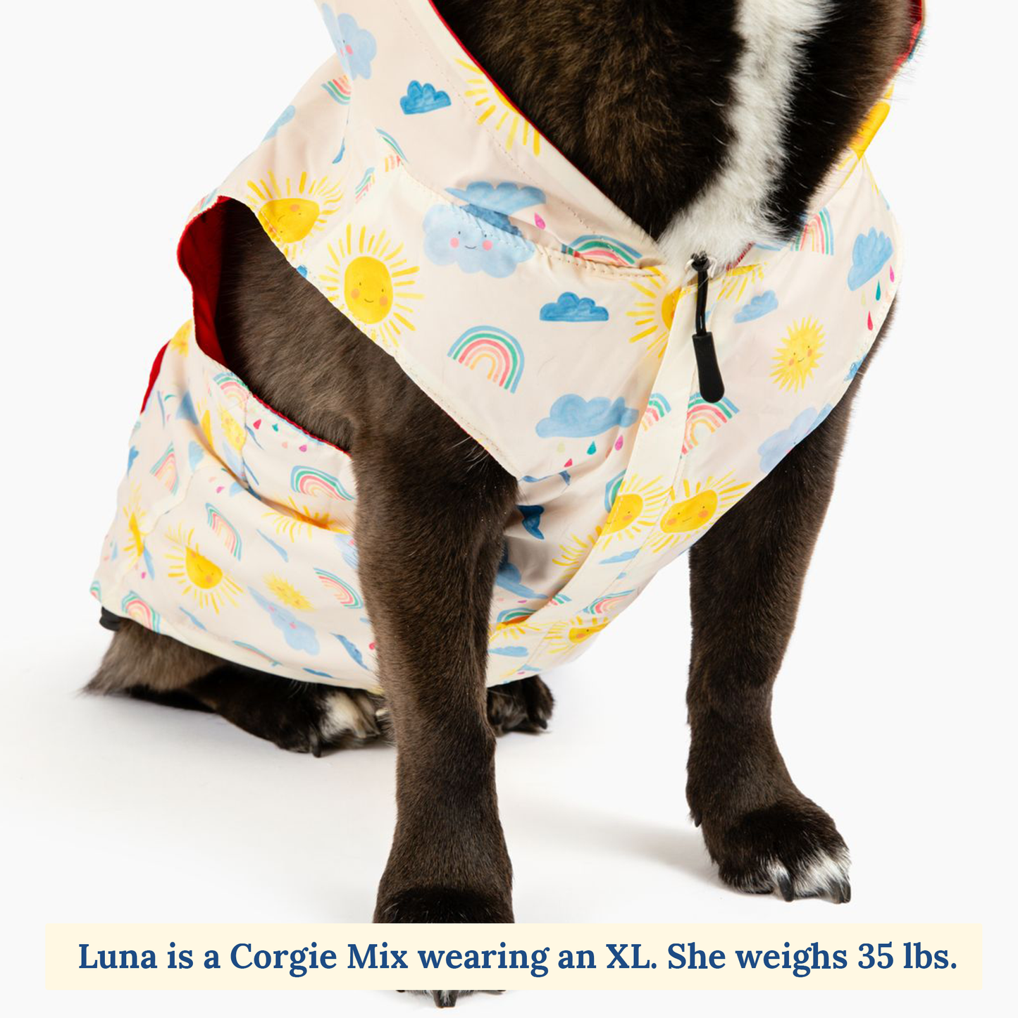 Rain or Shine Reversible Raincoat