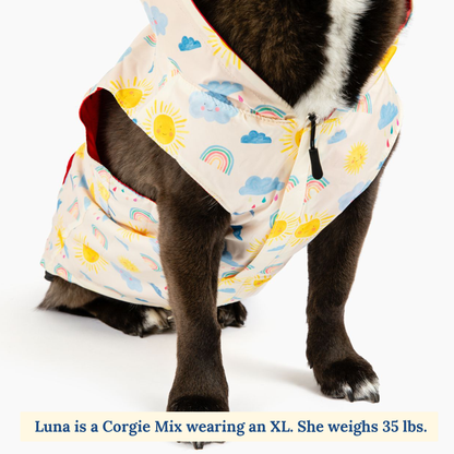 Rain or Shine Reversible Raincoat