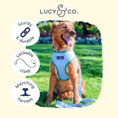 Set Sail Leash