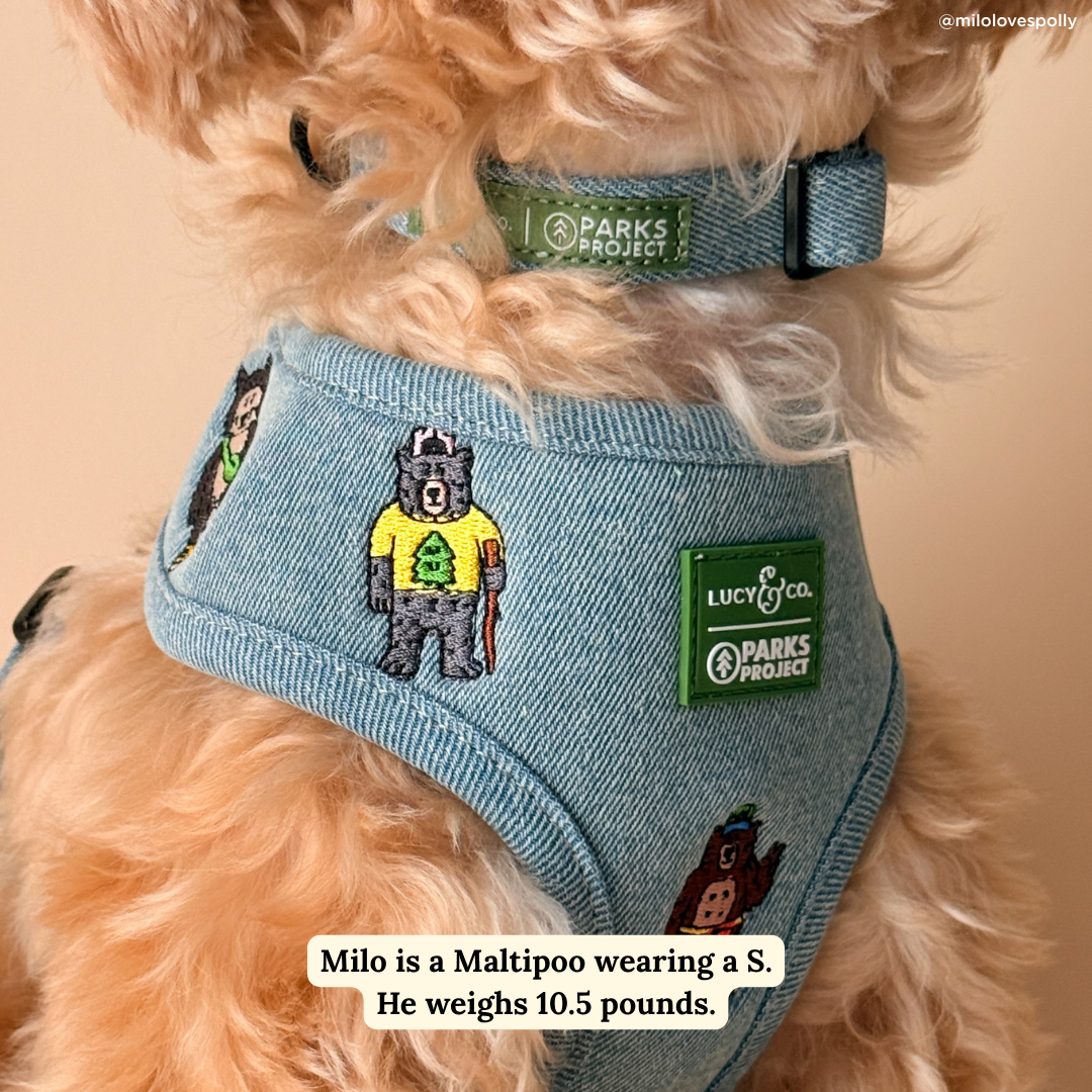 Lucy & Co. x Parks Project Adventures with Friends Reversible Harness