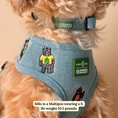 Lucy & Co. x Parks Project Adventures with Friends Reversible Harness