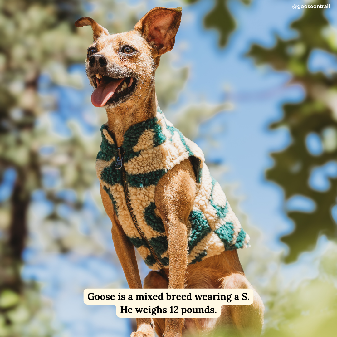 Lucy & Co. x Parks Project Geyser Reversible Teddy Vest