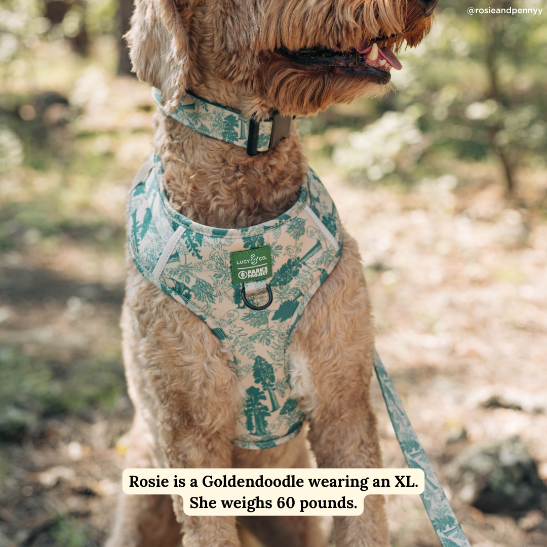 Lucy & Co. x Parks Project Sequoia Seedlings No-Pull Harness