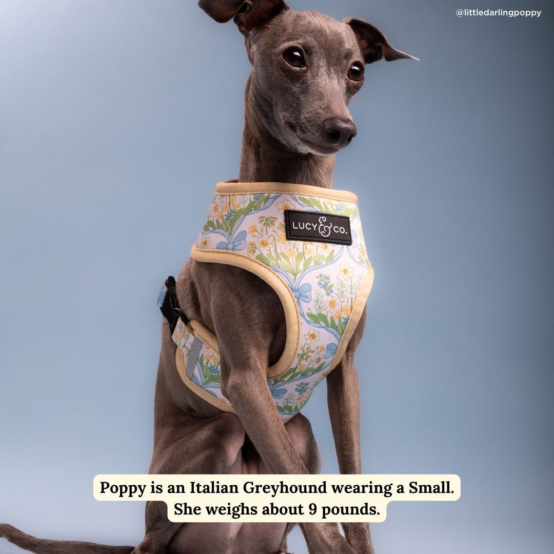 Sunshine and Daffodils Reversible Harness