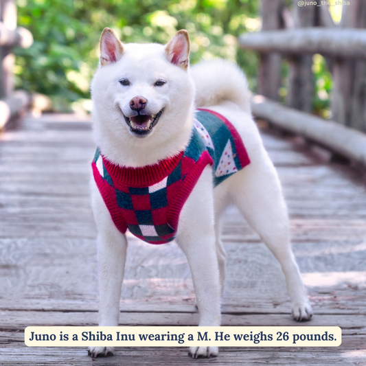The Internet s Favorite Dog Sweaters Cute Dog Sweaters Lucy Co