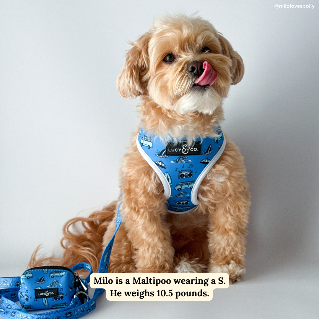 Catch a Wave Reversible Harness