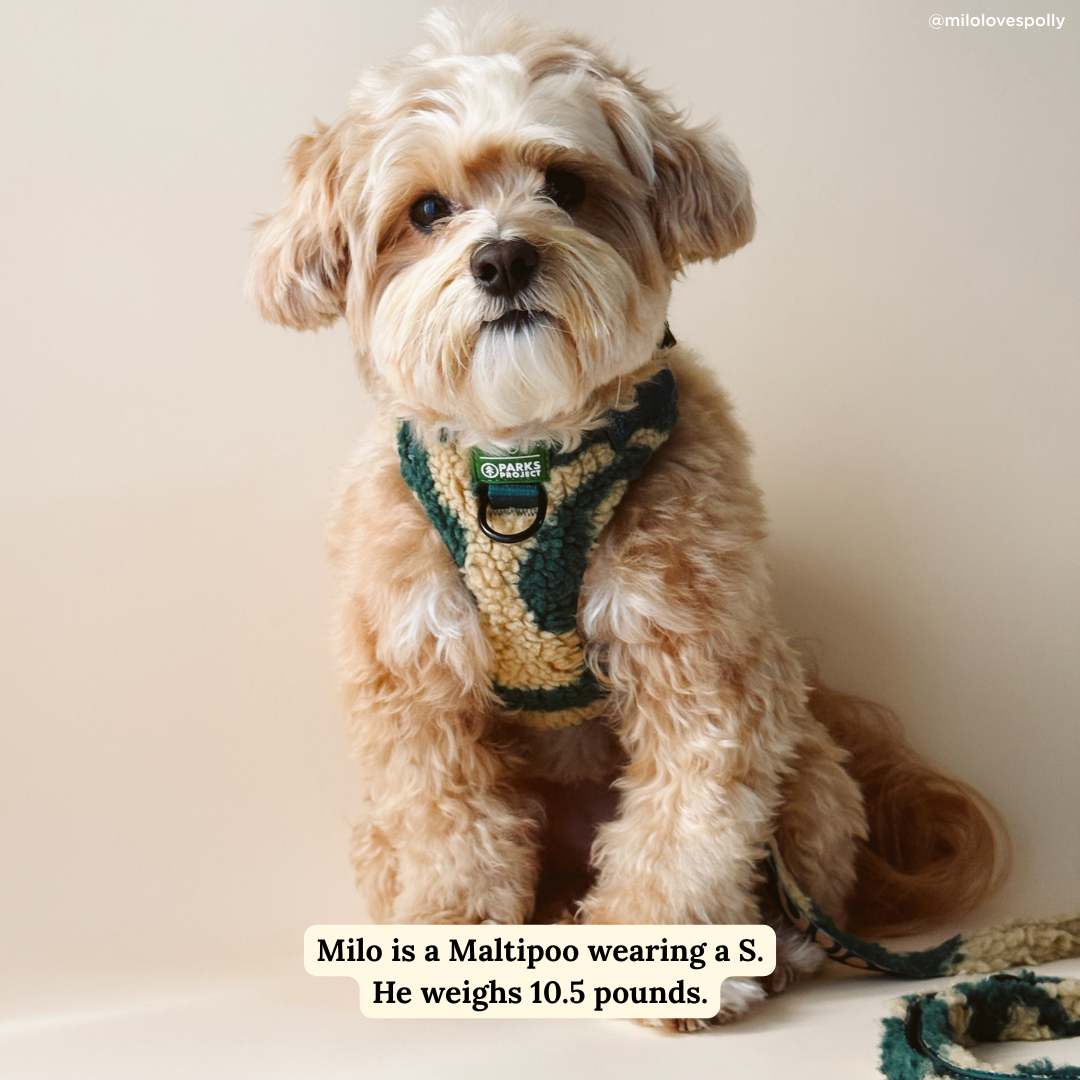 Lucy & Co. x Parks Project Geyser Fleece No-Pull Harness