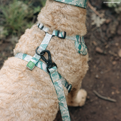 Lucy & Co. x Parks Project Sequoia Seedlings No-Pull Harness
