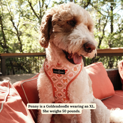 Cozy Cottage Reversible Harness