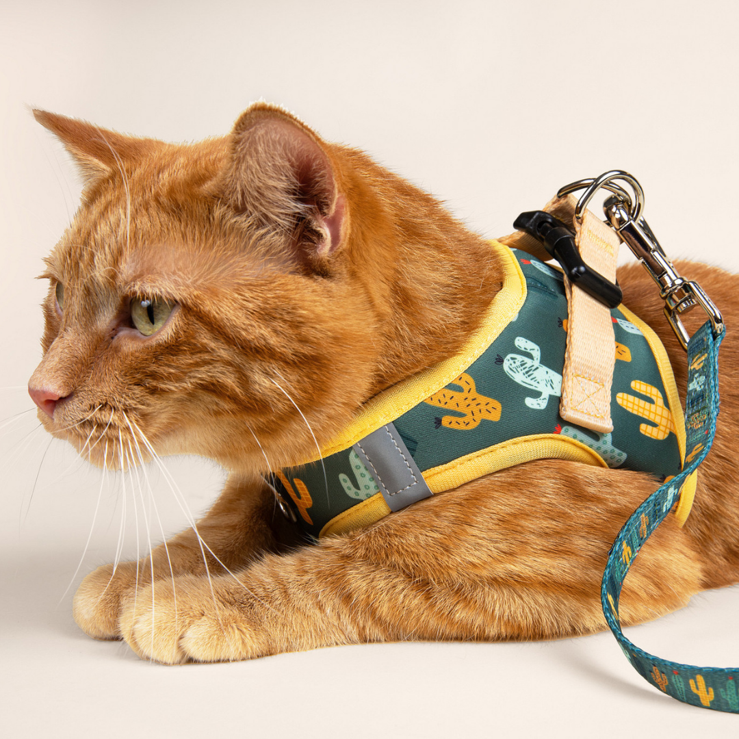 Looking Sharp Step-in Cat Harness