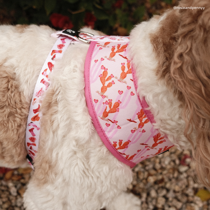 Howdy, Honey Reversible Harness