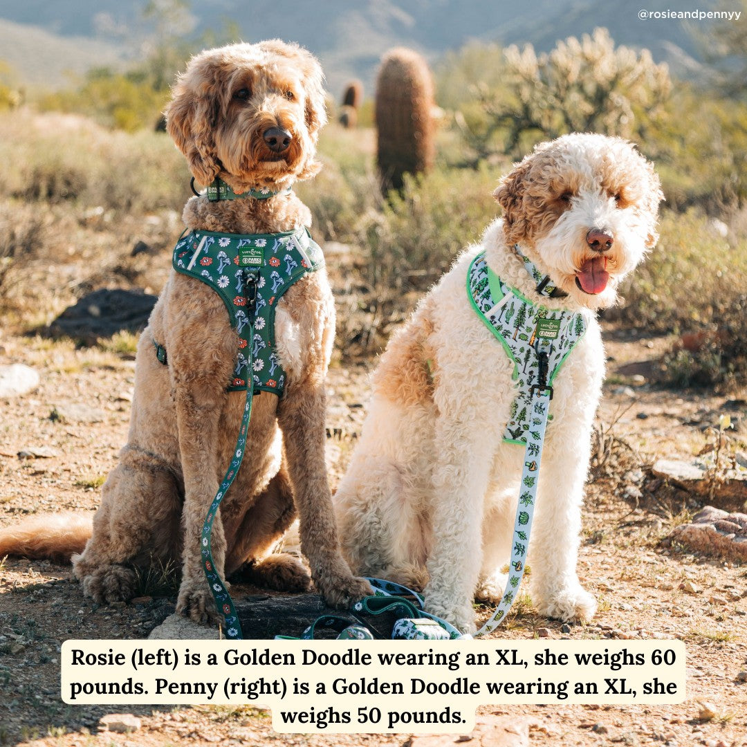 Lucy & Co. x Parks Project Power to the Parks No-Pull Harness
