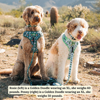 Lucy & Co. x Parks Project Power to the Parks No-Pull Harness