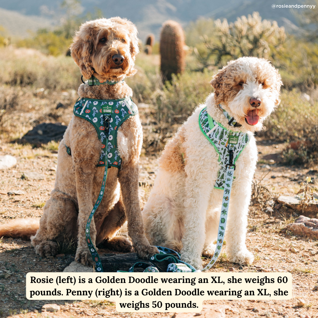 Power to the Parks No-Pull Harness