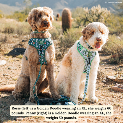 Power to the Parks No-Pull Harness