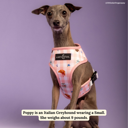 Sipping Slowly Reversible Harness