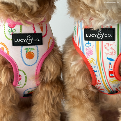 Dolce Vita Reversible Harness