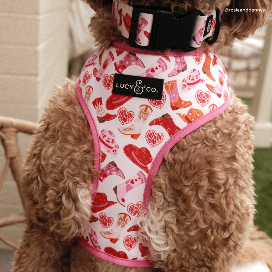 Howdy, Honey Reversible Harness
