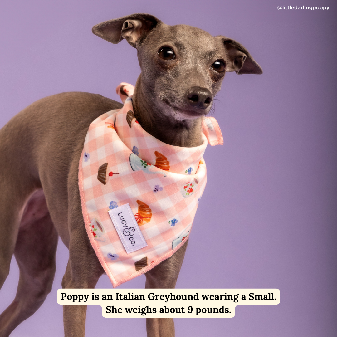 Sipping Slowly Bandana