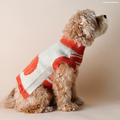 Oh My Gourd Sweater
