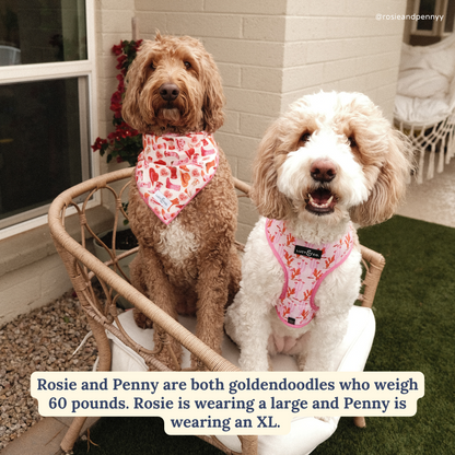 Howdy, Honey Reversible Harness
